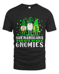 Shenanigans With My Gnomies