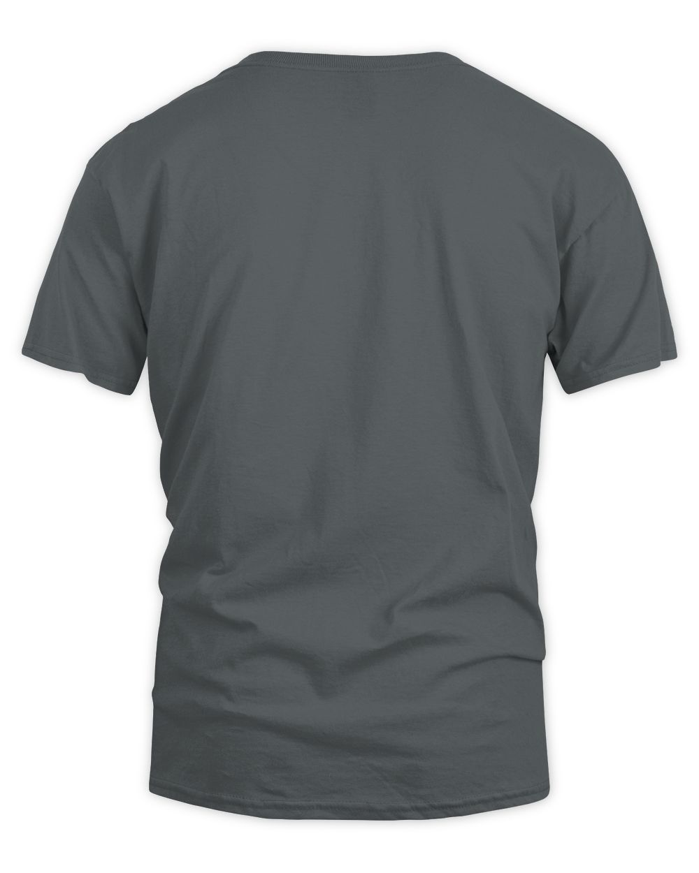 Charcoal gray short-sleeve T-shirt, crew neck; plain back view.