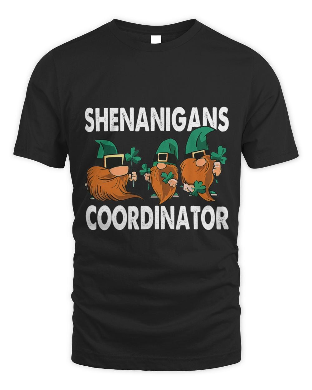 Shenanigans Coordinator Gnomies